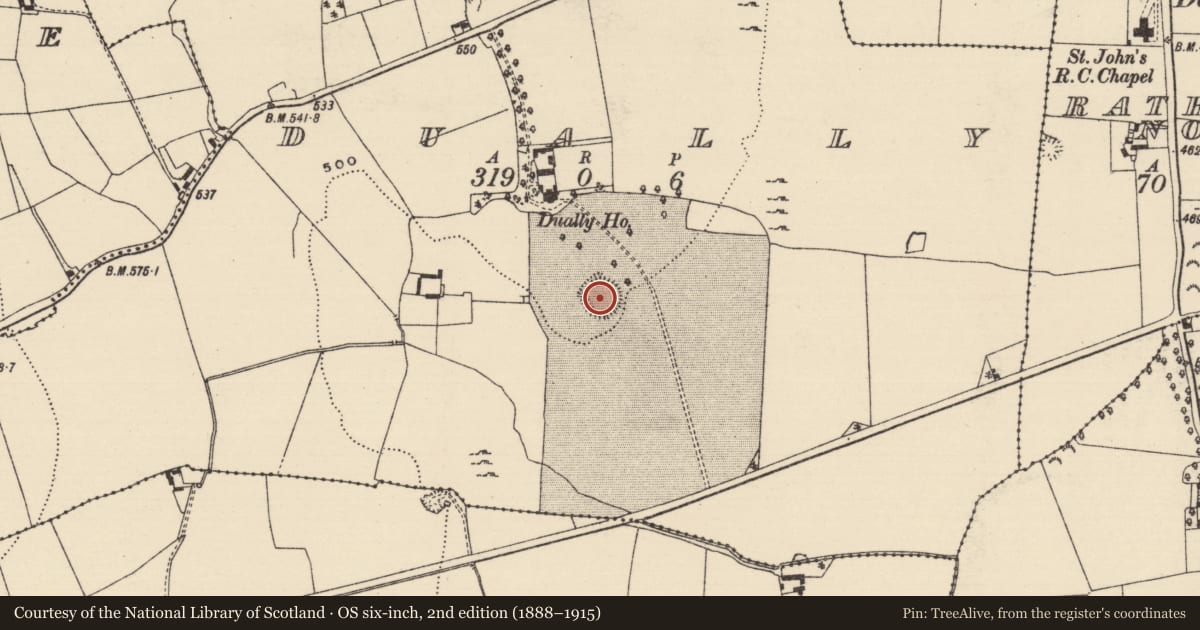 Ordnance Survey six-inch map, 2nd edition (1888–1915) covering the location of Ringfort - rath, Dually, County Tipperary South, with a pin at the register's coordinates