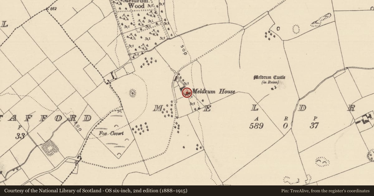 Ordnance Survey six-inch map, 2nd edition (1888–1915) covering the location of Armorial plaque (present location), Meldrum, County Tipperary South, with a pin at the register's coordinates