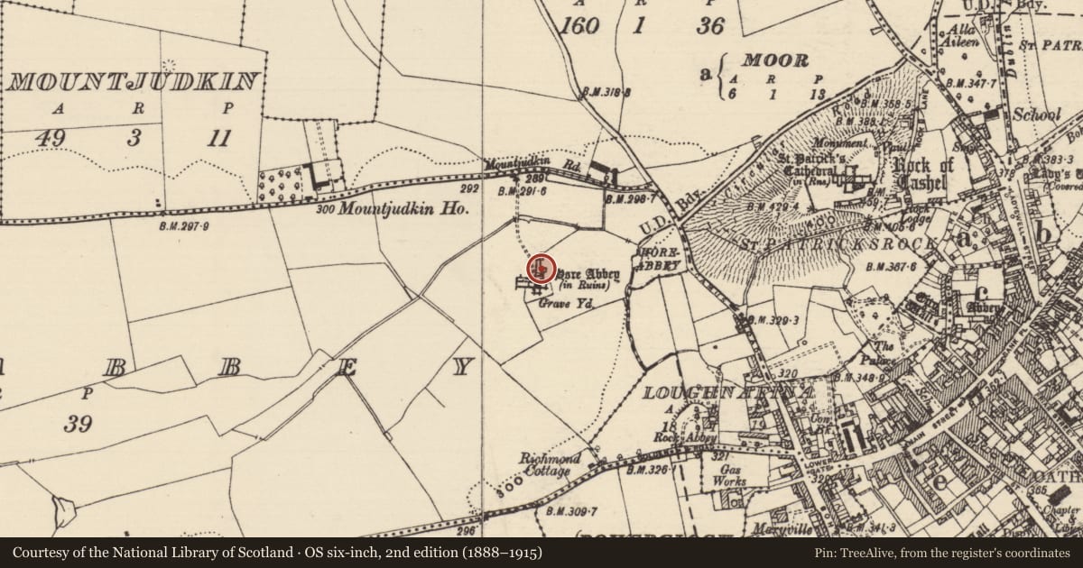 Ordnance Survey six-inch map, 2nd edition (1888–1915) covering the location of Bullaun stone, Horeabbey, County Tipperary South, with a pin at the register's coordinates