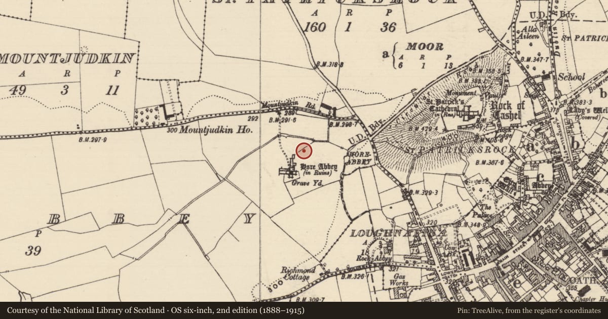Ordnance Survey six-inch map, 2nd edition (1888–1915) covering the location of Earthwork, Horeabbey, County Tipperary South, with a pin at the register's coordinates