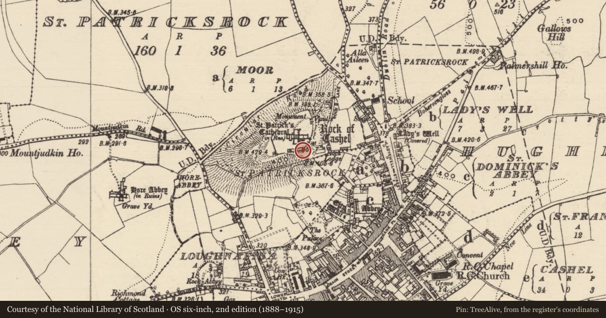 Ordnance Survey six-inch map, 2nd edition (1888–1915) covering the location of Sheela-na-gig, St. Patricksrock, County Tipperary South, with a pin at the register's coordinates