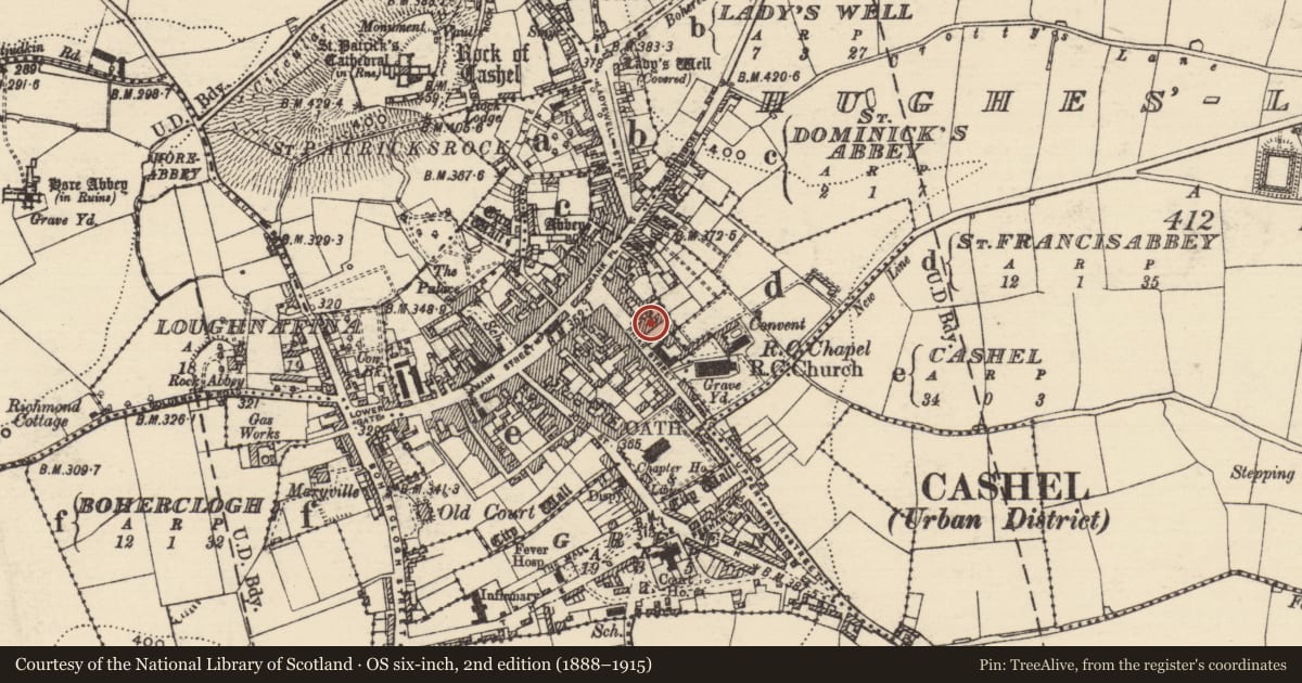 Ordnance Survey six-inch map, 2nd edition (1888–1915) covering the location of Well, Cashel, County Tipperary South, with a pin at the register's coordinates
