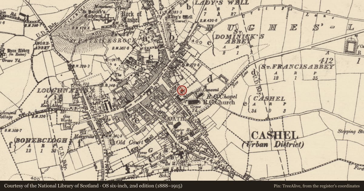Ordnance Survey six-inch map, 2nd edition (1888–1915) covering the location of Burial, Ladyswell, County Tipperary South, with a pin at the register's coordinates