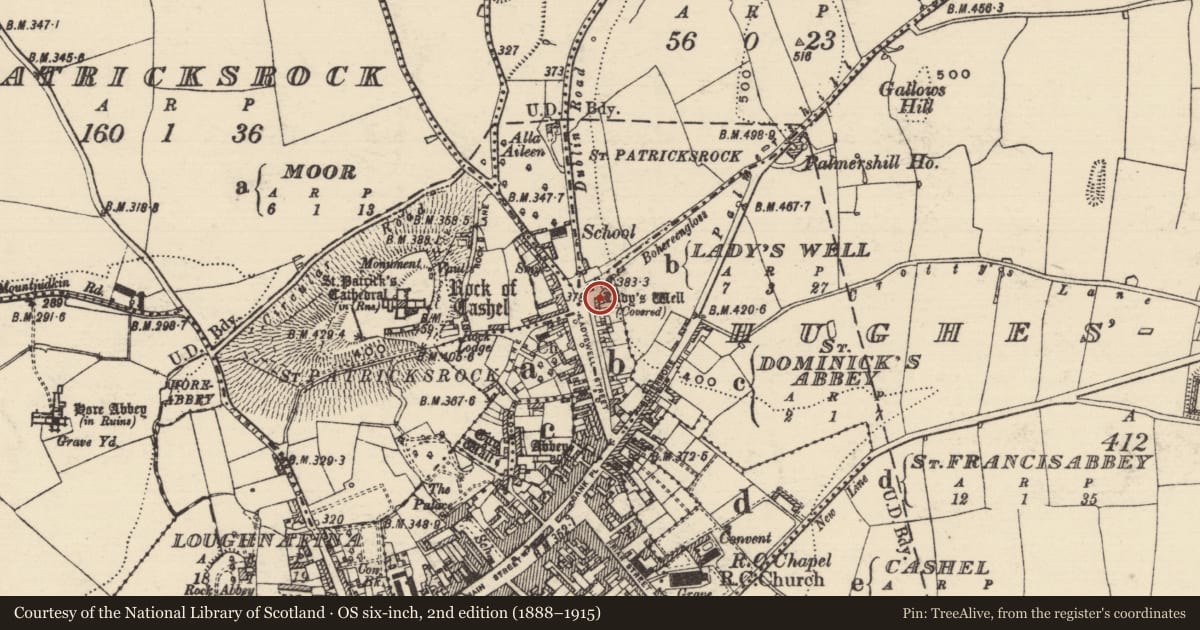 Ordnance Survey six-inch map, 2nd edition (1888–1915) covering the location of Building, Ladyswell, County Tipperary South, with a pin at the register's coordinates