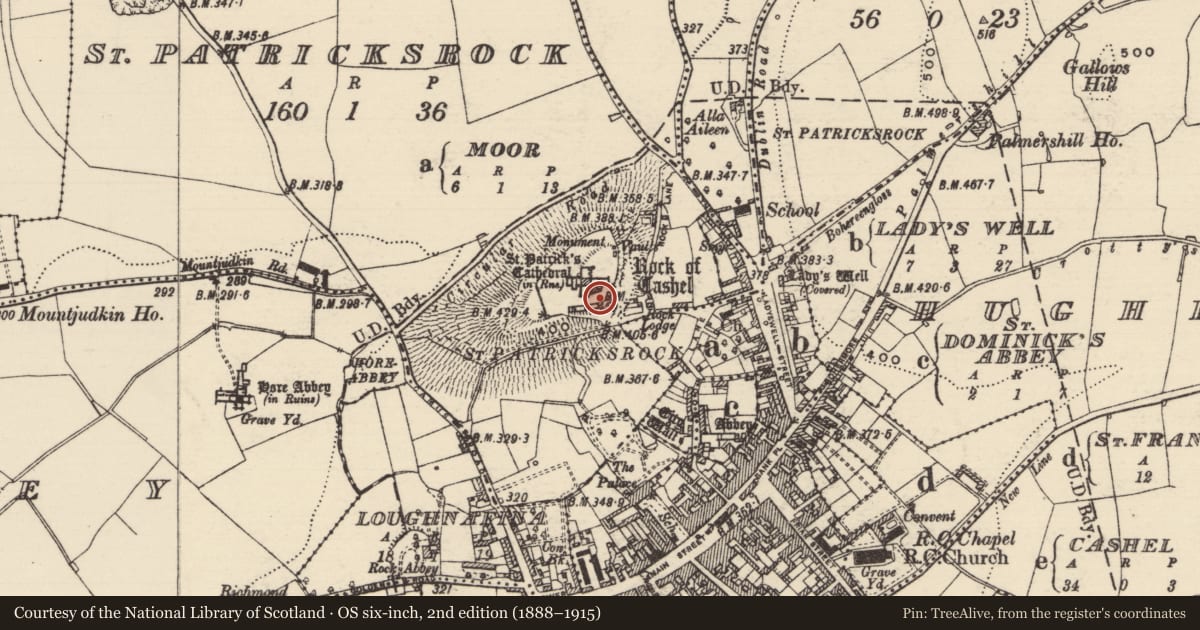 Ordnance Survey six-inch map, 2nd edition (1888–1915) covering the location of Graveyard, St. Patricksrock, County Tipperary South, with a pin at the register's coordinates