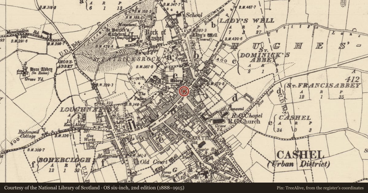 Ordnance Survey six-inch map, 2nd edition (1888–1915) covering the location of Well, Cashel, County Tipperary South, with a pin at the register's coordinates