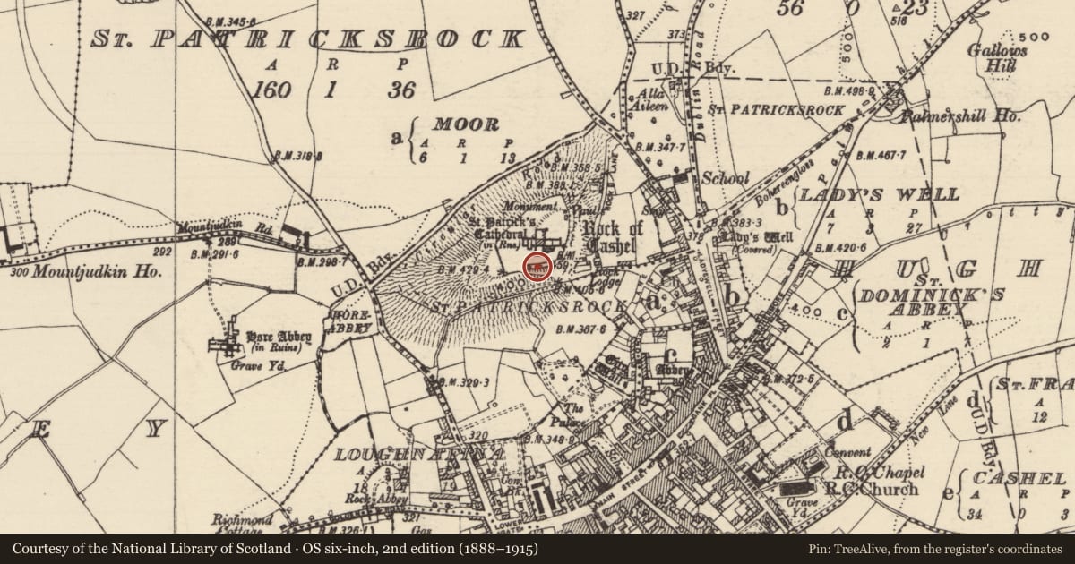 Ordnance Survey six-inch map, 2nd edition (1888–1915) covering the location of Cross - High cross, St. Patricksrock, County Tipperary South, with a pin at the register's coordinates