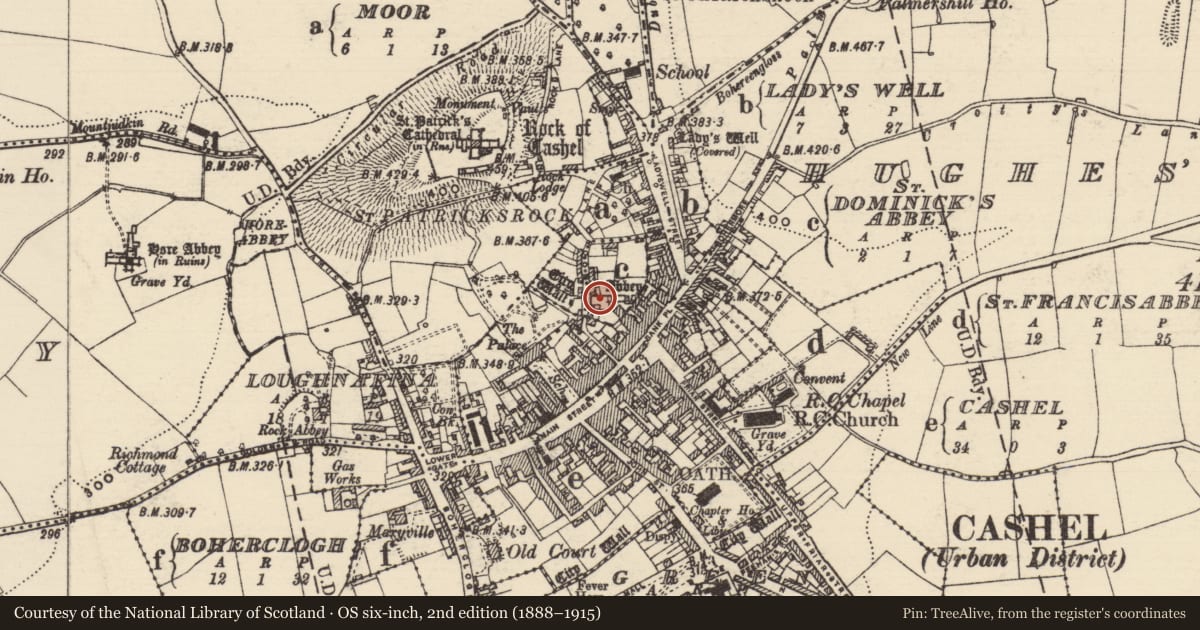 Ordnance Survey six-inch map, 2nd edition (1888–1915) covering the location of Tomb - effigial, St. Dominicks Abbey, County Tipperary South, with a pin at the register's coordinates