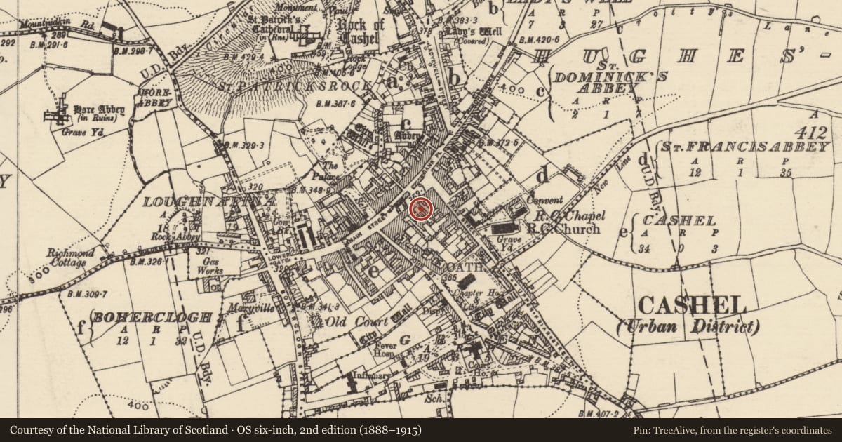 Ordnance Survey six-inch map, 2nd edition (1888–1915) covering the location of Stone head, Cashel, County Tipperary South, with a pin at the register's coordinates