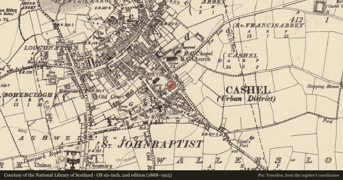 Ordnance Survey six-inch map, 2nd edition (1888–1915) covering the location of Tomb - effigial (present location), Cashel, Green, County Tipperary South, with a pin at the register's coordinates