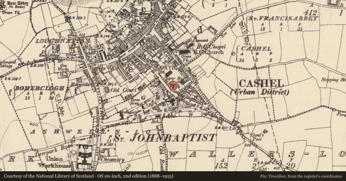 Ordnance Survey six-inch map, 2nd edition (1888–1915) covering the location of Tomb - effigial (present location), Cashel, Green, County Tipperary South, with a pin at the register's coordinates
