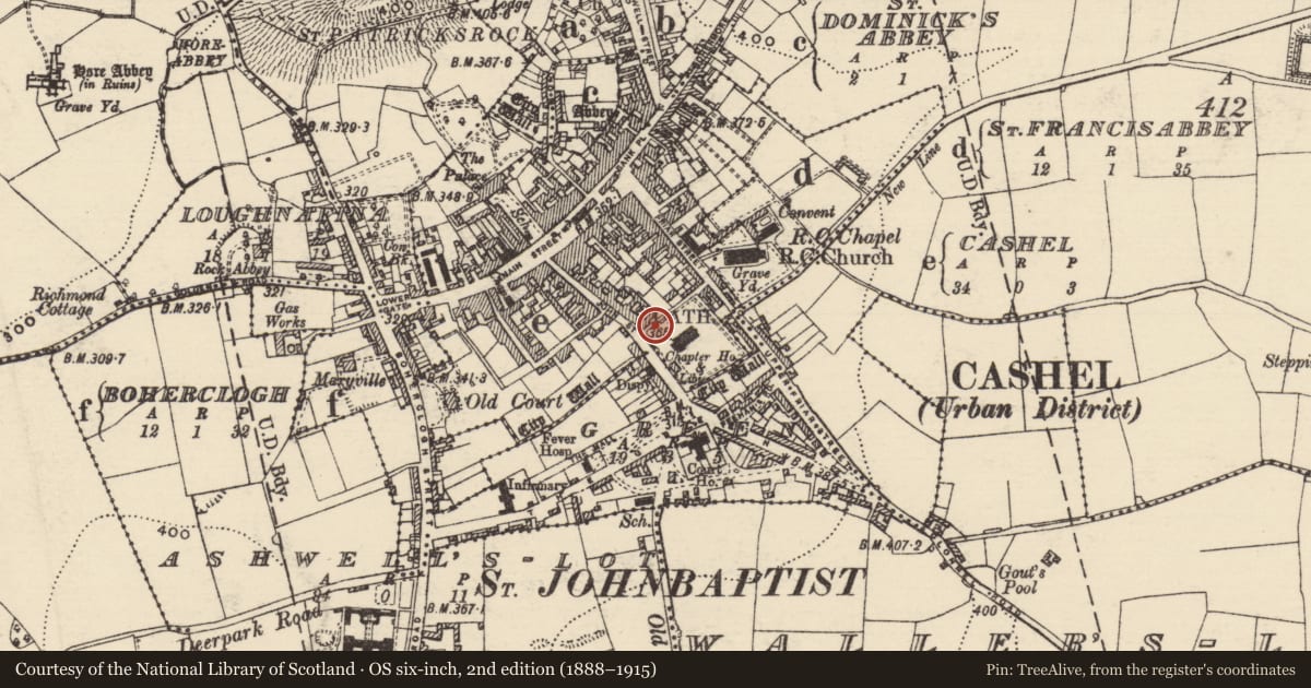 Ordnance Survey six-inch map, 2nd edition (1888–1915) covering the location of Graveslab, Cashel, County Tipperary South, with a pin at the register's coordinates