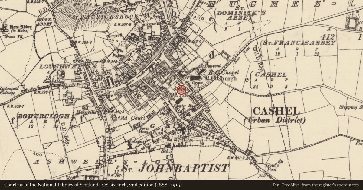 Ordnance Survey six-inch map, 2nd edition (1888–1915) covering the location of Graveslab, Cashel, County Tipperary South, with a pin at the register's coordinates
