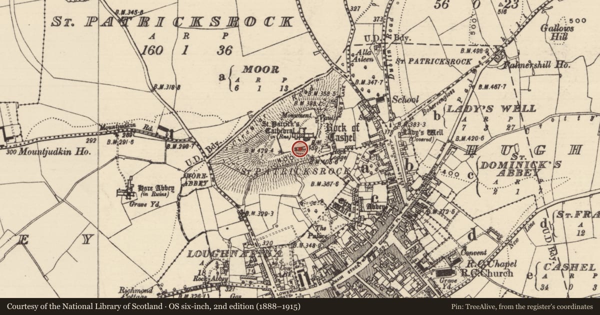 Ordnance Survey six-inch map, 2nd edition (1888–1915) covering the location of Tomb - effigial, St. Francisabbey, County Tipperary South, with a pin at the register's coordinates