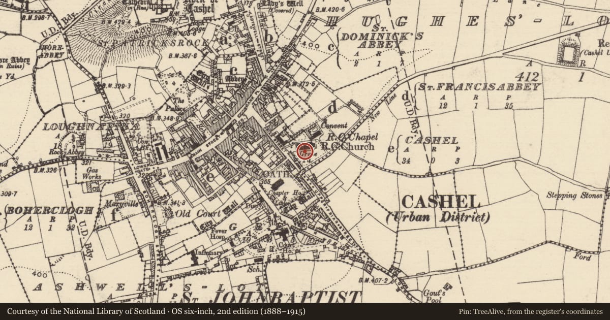 Ordnance Survey six-inch map, 2nd edition (1888–1915) covering the location of Tomb - effigial, St. Francisabbey, County Tipperary South, with a pin at the register's coordinates