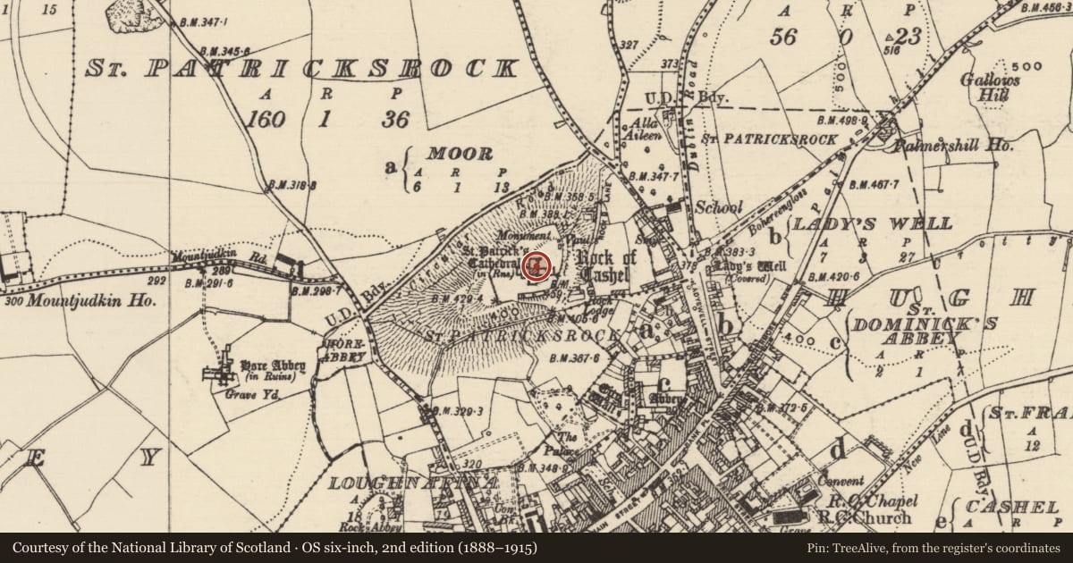 Ordnance Survey six-inch map, 2nd edition (1888–1915) covering the location of Wall monument, St. Patricksrock, County Tipperary South, with a pin at the register's coordinates