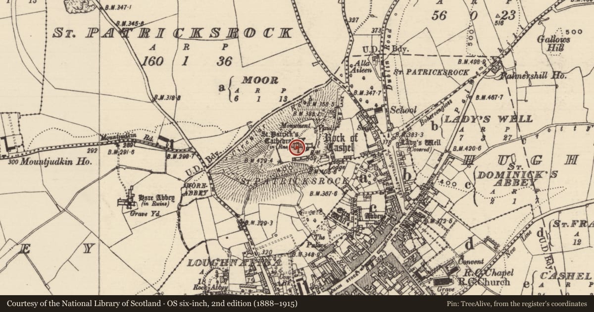 Ordnance Survey six-inch map, 2nd edition (1888–1915) covering the location of Wall monument, St. Patricksrock, County Tipperary South, with a pin at the register's coordinates