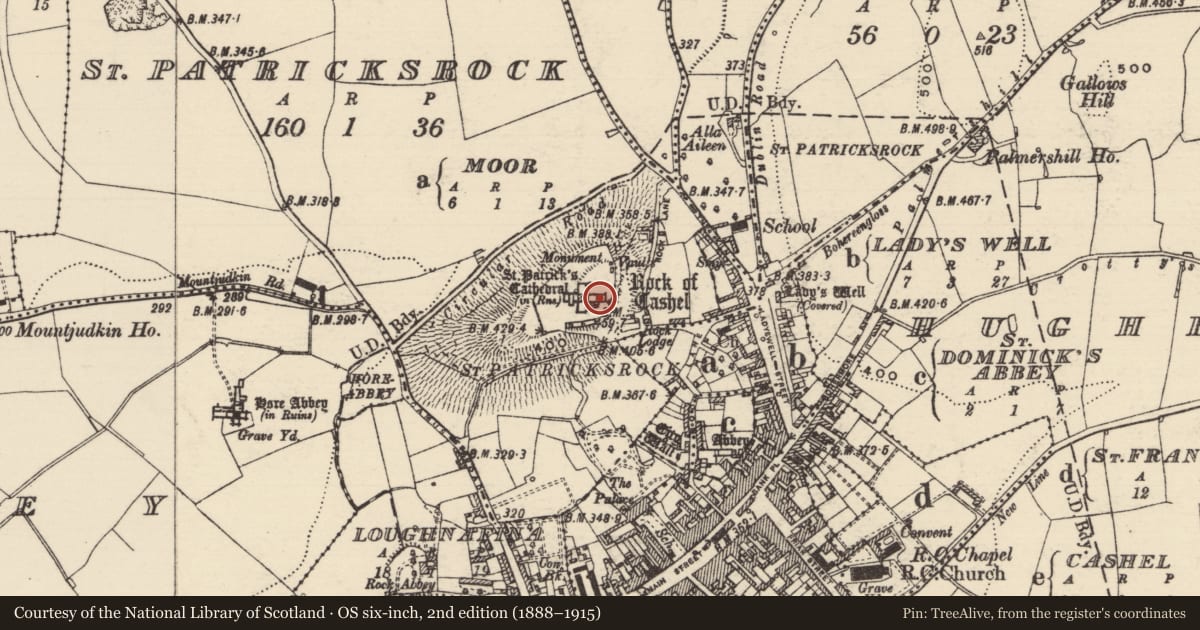 Ordnance Survey six-inch map, 2nd edition (1888–1915) covering the location of Graveslab, St. Patricksrock, County Tipperary South, with a pin at the register's coordinates