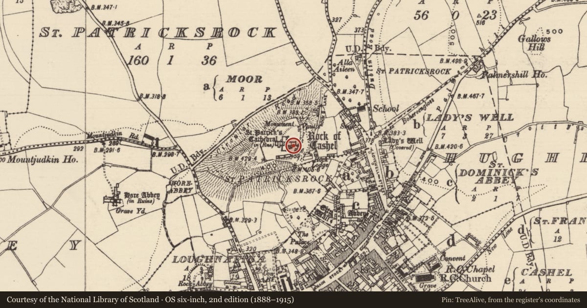 Ordnance Survey six-inch map, 2nd edition (1888–1915) covering the location of Graveslab, St. Patricksrock, County Tipperary South, with a pin at the register's coordinates