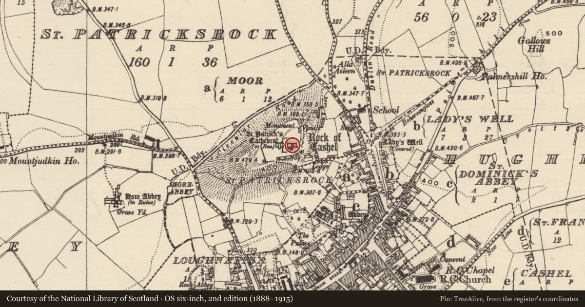 Ordnance Survey six-inch map, 2nd edition (1888–1915) covering the location of Graveslab, St. Patricksrock, County Tipperary South, with a pin at the register's coordinates