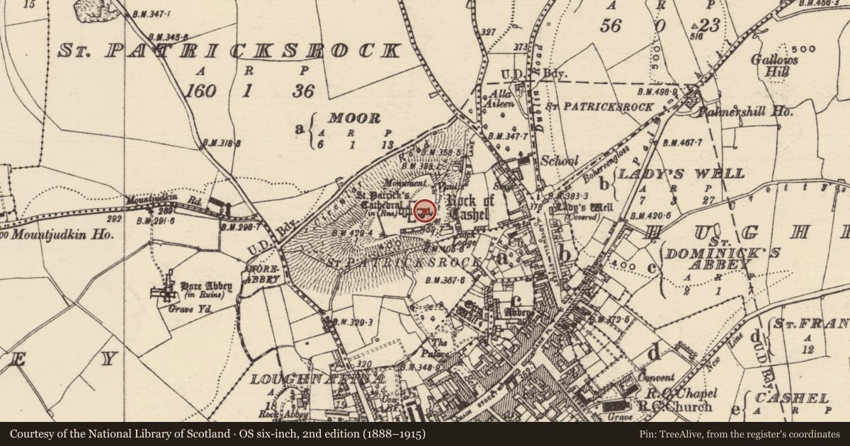 Ordnance Survey six-inch map, 2nd edition (1888–1915) covering the location of Wall monument, St. Patricksrock, County Tipperary South, with a pin at the register's coordinates