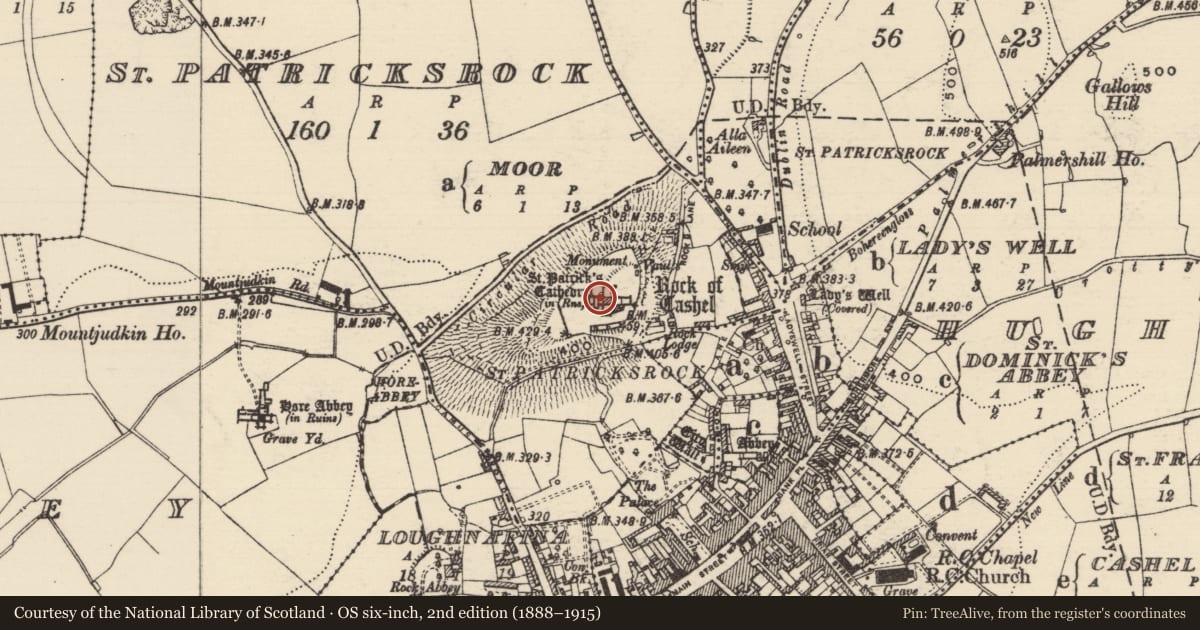 Ordnance Survey six-inch map, 2nd edition (1888–1915) covering the location of Wall monument, St. Patricksrock, County Tipperary South, with a pin at the register's coordinates