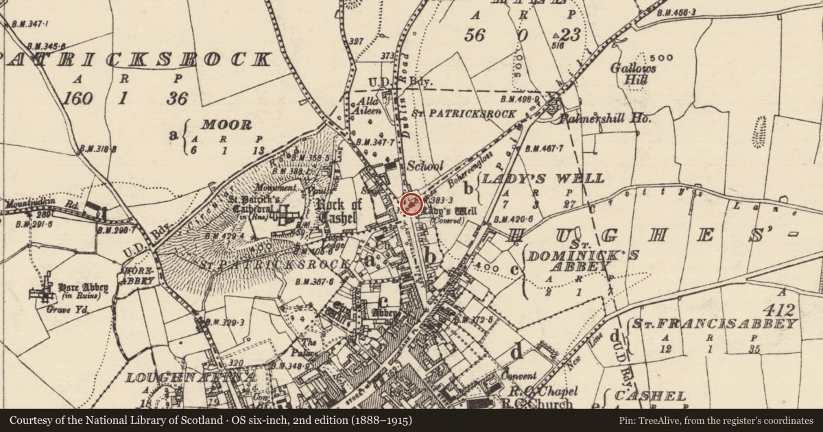 Ordnance Survey six-inch map, 2nd edition (1888–1915) covering the location of Ritual site - holy well, Ladyswell, County Tipperary South, with a pin at the register's coordinates