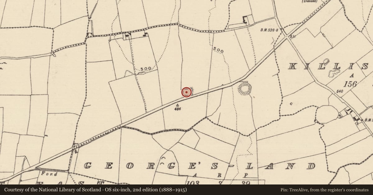 Ordnance Survey six-inch map, 2nd edition (1888–1915) covering the location of Moated site, Boscabell, County Tipperary South, with a pin at the register's coordinates