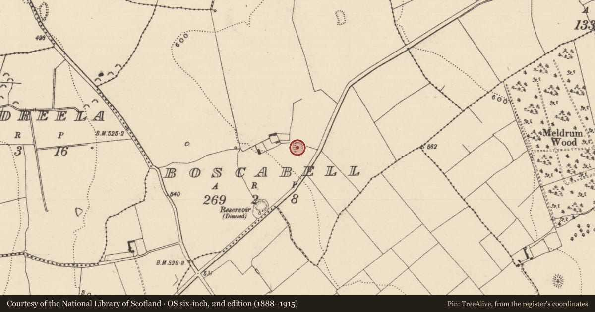 Ordnance Survey six-inch map, 2nd edition (1888–1915) covering the location of Enclosure, Boscabell, County Tipperary South, with a pin at the register's coordinates