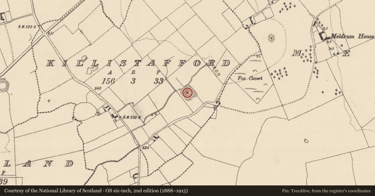 Ordnance Survey six-inch map, 2nd edition (1888–1915) covering the location of Moated site, Killistafford, County Tipperary South, with a pin at the register's coordinates