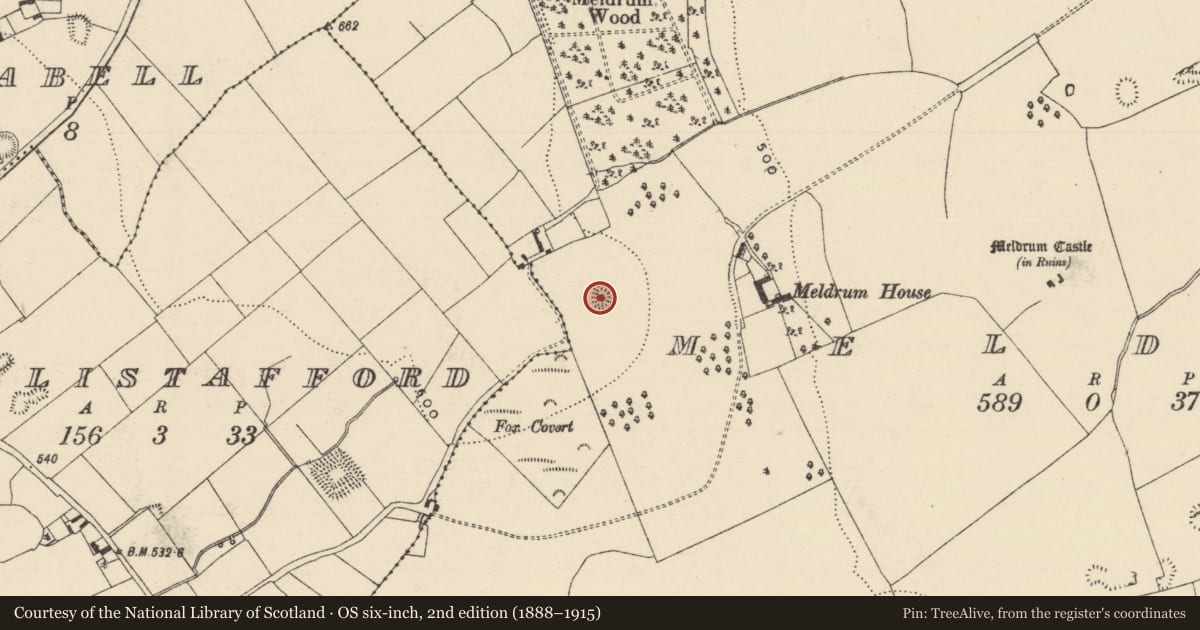 Ordnance Survey six-inch map, 2nd edition (1888–1915) covering the location of Enclosure, Meldrum, County Tipperary South, with a pin at the register's coordinates