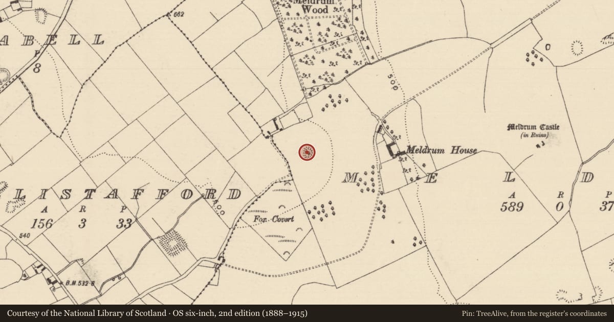 Ordnance Survey six-inch map, 2nd edition (1888–1915) covering the location of Barrow - mound barrow, Meldrum, County Tipperary South, with a pin at the register's coordinates