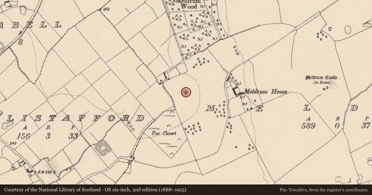 Ordnance Survey six-inch map, 2nd edition (1888–1915) covering the location of Barrow - ring-barrow, Meldrum, County Tipperary South, with a pin at the register's coordinates