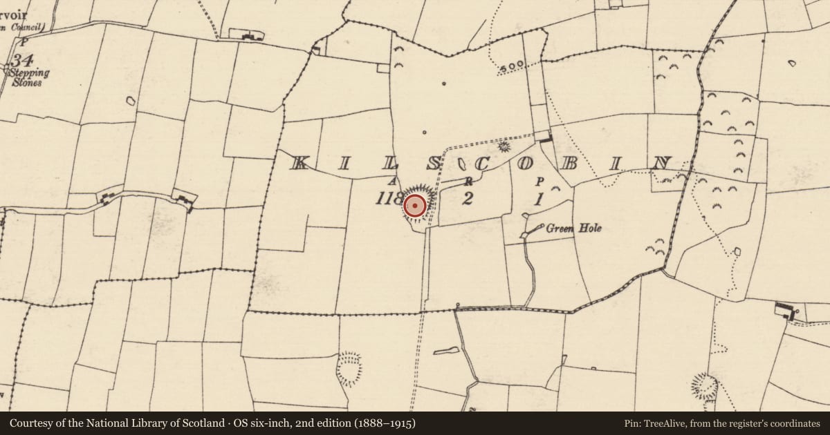 Ordnance Survey six-inch map, 2nd edition (1888–1915) covering the location of Enclosure, Kilscobin, County Tipperary South, with a pin at the register's coordinates