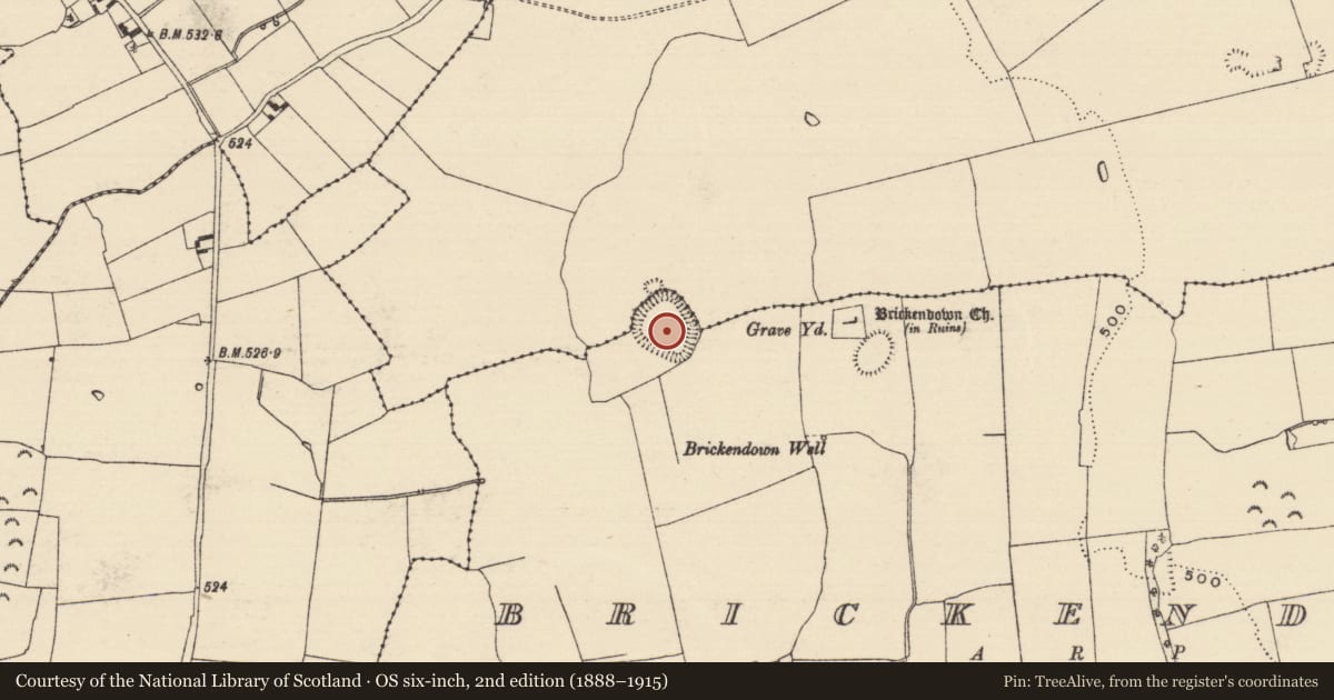 Ordnance Survey six-inch map, 2nd edition (1888–1915) covering the location of Enclosure, Brickendown, County Tipperary South, with a pin at the register's coordinates