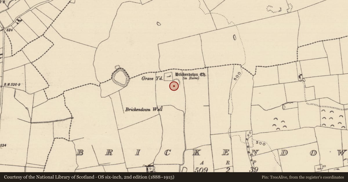 Ordnance Survey six-inch map, 2nd edition (1888–1915) covering the location of Enclosure, Brickendown, County Tipperary South, with a pin at the register's coordinates