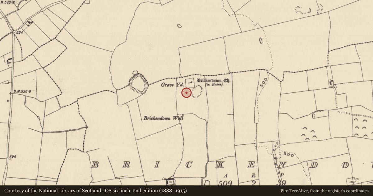 Ordnance Survey six-inch map, 2nd edition (1888–1915) covering the location of Enclosure, Brickendown, County Tipperary South, with a pin at the register's coordinates