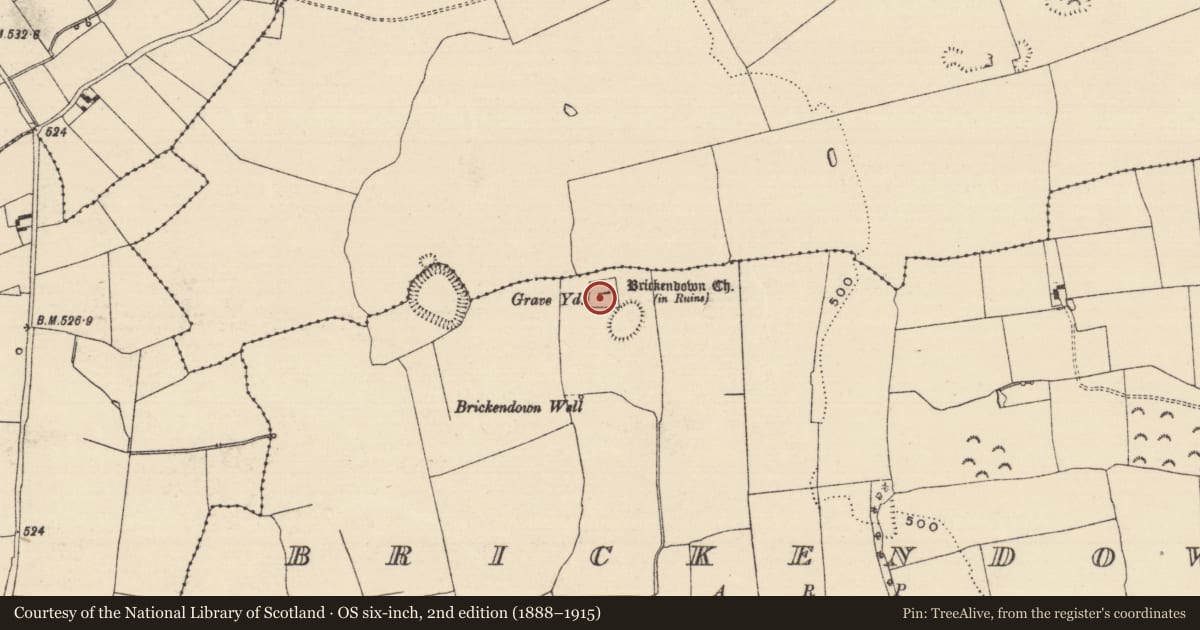 Ordnance Survey six-inch map, 2nd edition (1888–1915) covering the location of Graveyard, Brickendown, County Tipperary South, with a pin at the register's coordinates