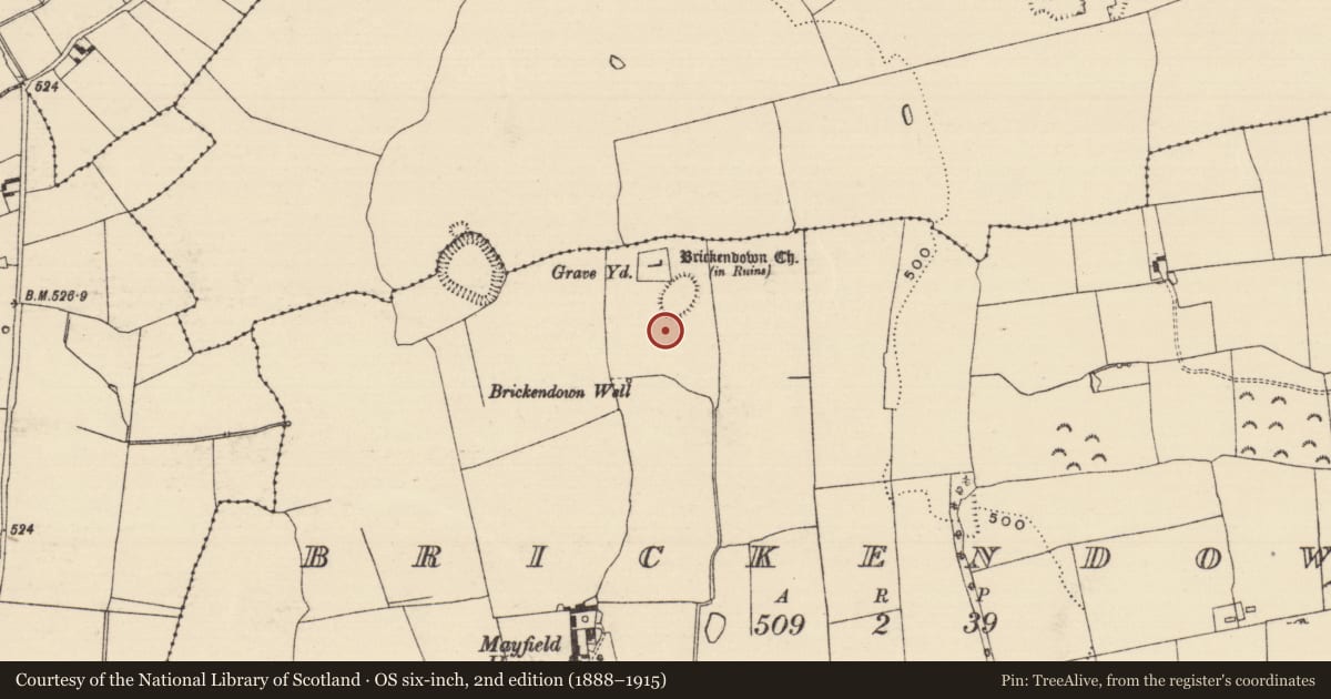 Ordnance Survey six-inch map, 2nd edition (1888–1915) covering the location of Enclosure, Brickendown, County Tipperary South, with a pin at the register's coordinates