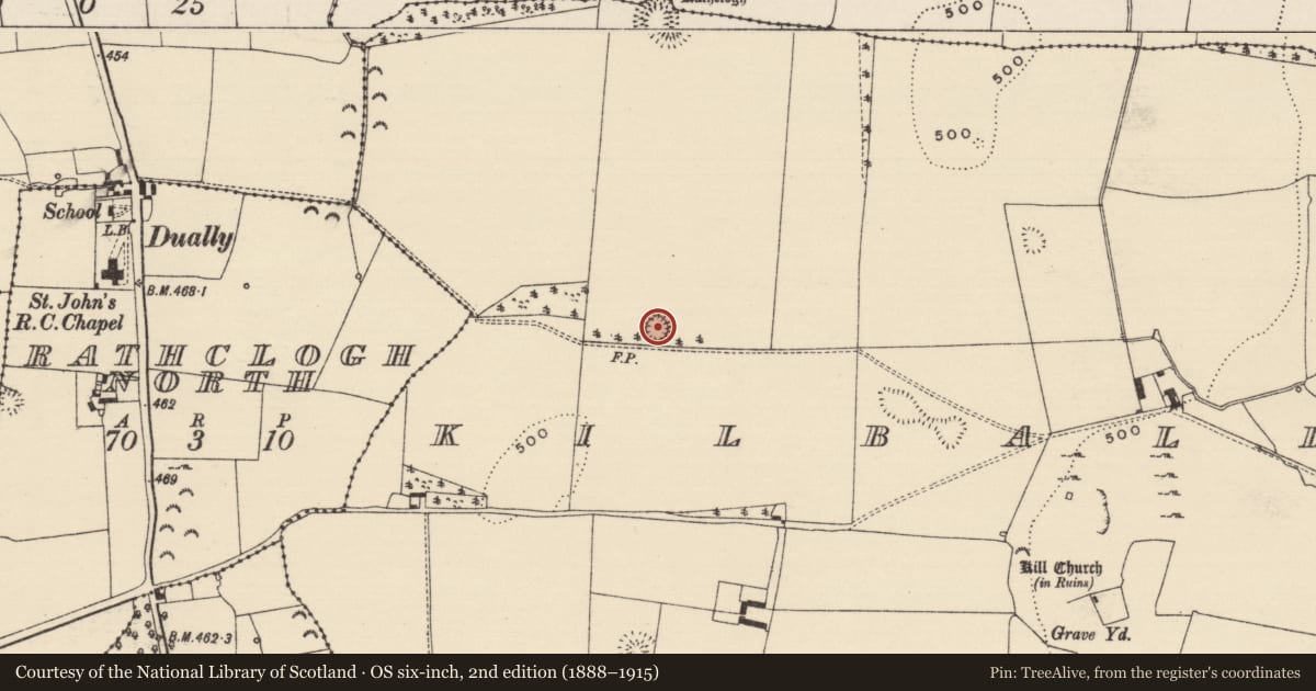 Ordnance Survey six-inch map, 2nd edition (1888–1915) covering the location of Ringfort - rath, Kilballyherberry, County Tipperary South, with a pin at the register's coordinates