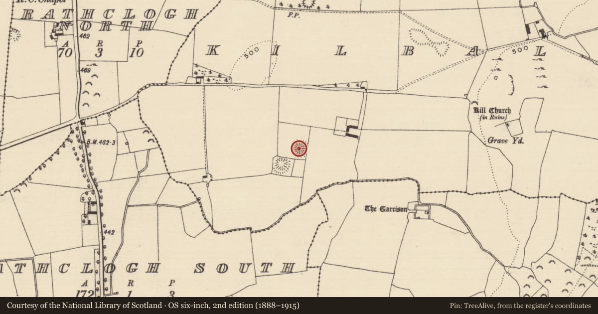 Ordnance Survey six-inch map, 2nd edition (1888–1915) covering the location of Ringfort - rath, Kilballyherberry, County Tipperary South, with a pin at the register's coordinates
