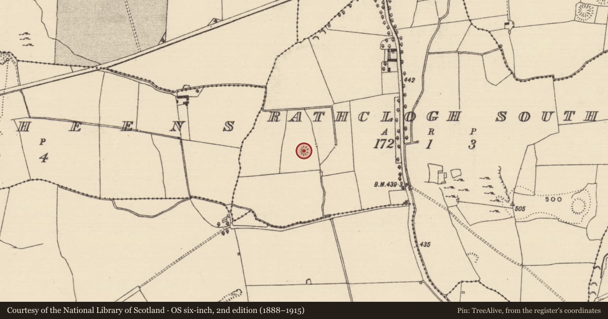 Ordnance Survey six-inch map, 2nd edition (1888–1915) covering the location of Enclosure, Rathclogh South, County Tipperary South, with a pin at the register's coordinates