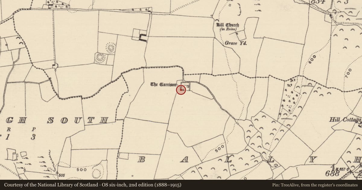 Ordnance Survey six-inch map, 2nd edition (1888–1915) covering the location of Castle - tower house, Ballyherberry, County Tipperary South, with a pin at the register's coordinates