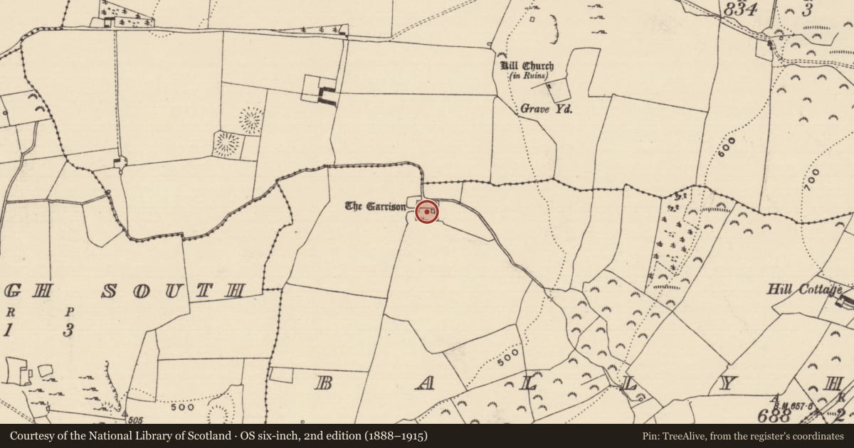 Ordnance Survey six-inch map, 2nd edition (1888–1915) covering the location of Bawn, Ballyherberry, County Tipperary South, with a pin at the register's coordinates