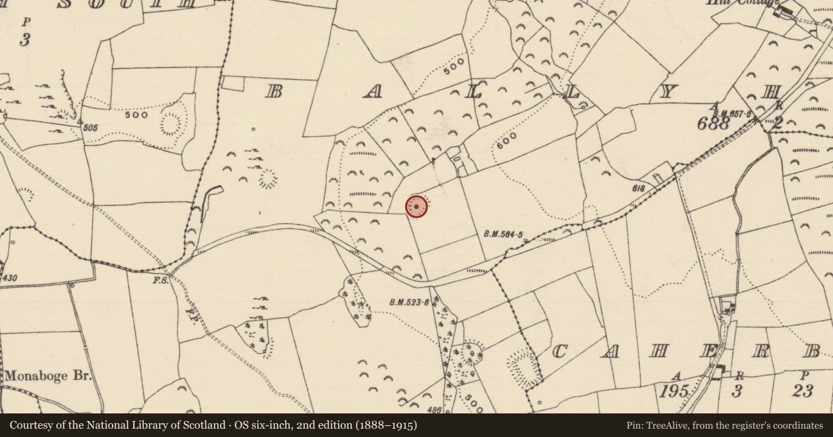 Ordnance Survey six-inch map, 2nd edition (1888–1915) covering the location of Enclosure, Ballyherberry, County Tipperary South, with a pin at the register's coordinates