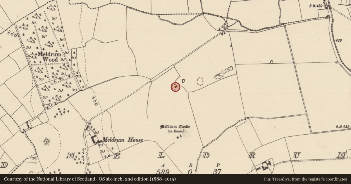 Ordnance Survey six-inch map, 2nd edition (1888–1915) covering the location of Enclosure, Meldrum, County Tipperary South, with a pin at the register's coordinates