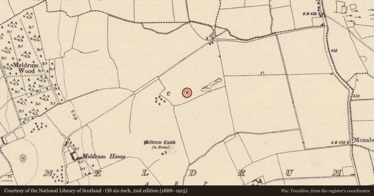 Ordnance Survey six-inch map, 2nd edition (1888–1915) covering the location of Barrow - ring-barrow, Meldrum, County Tipperary South, with a pin at the register's coordinates