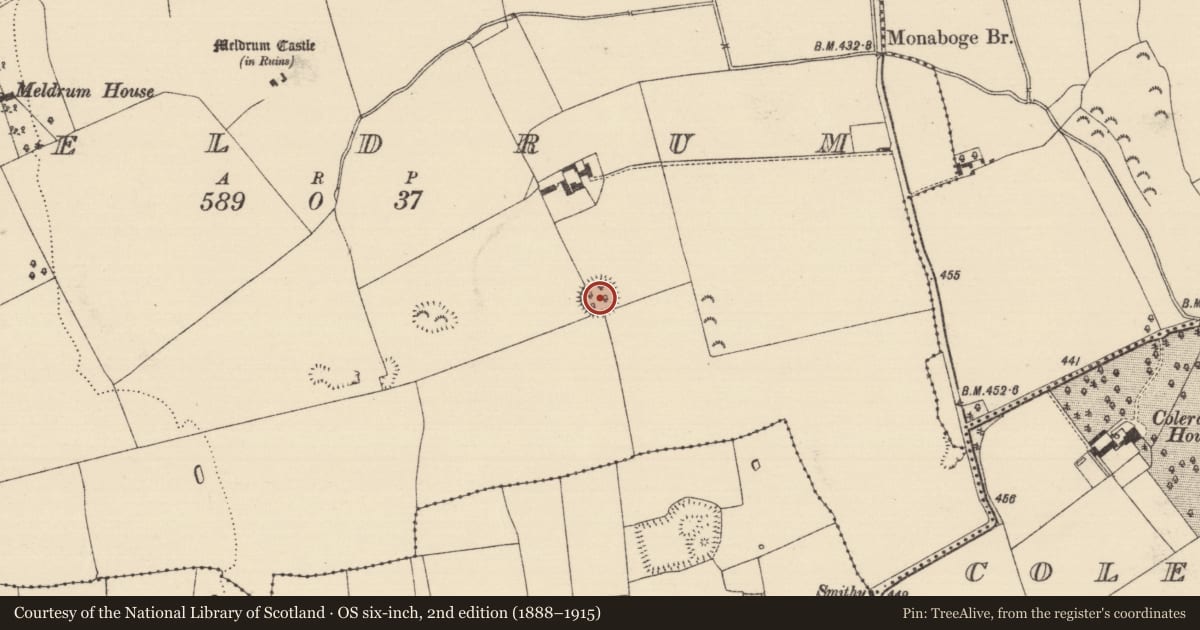 Ordnance Survey six-inch map, 2nd edition (1888–1915) covering the location of Ringfort - rath, Meldrum, County Tipperary South, with a pin at the register's coordinates