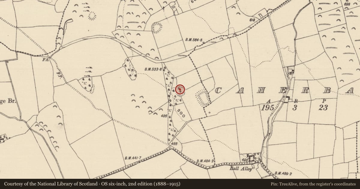 Ordnance Survey six-inch map, 2nd edition (1888–1915) covering the location of Enclosure, Ballyherberry, County Tipperary South, with a pin at the register's coordinates