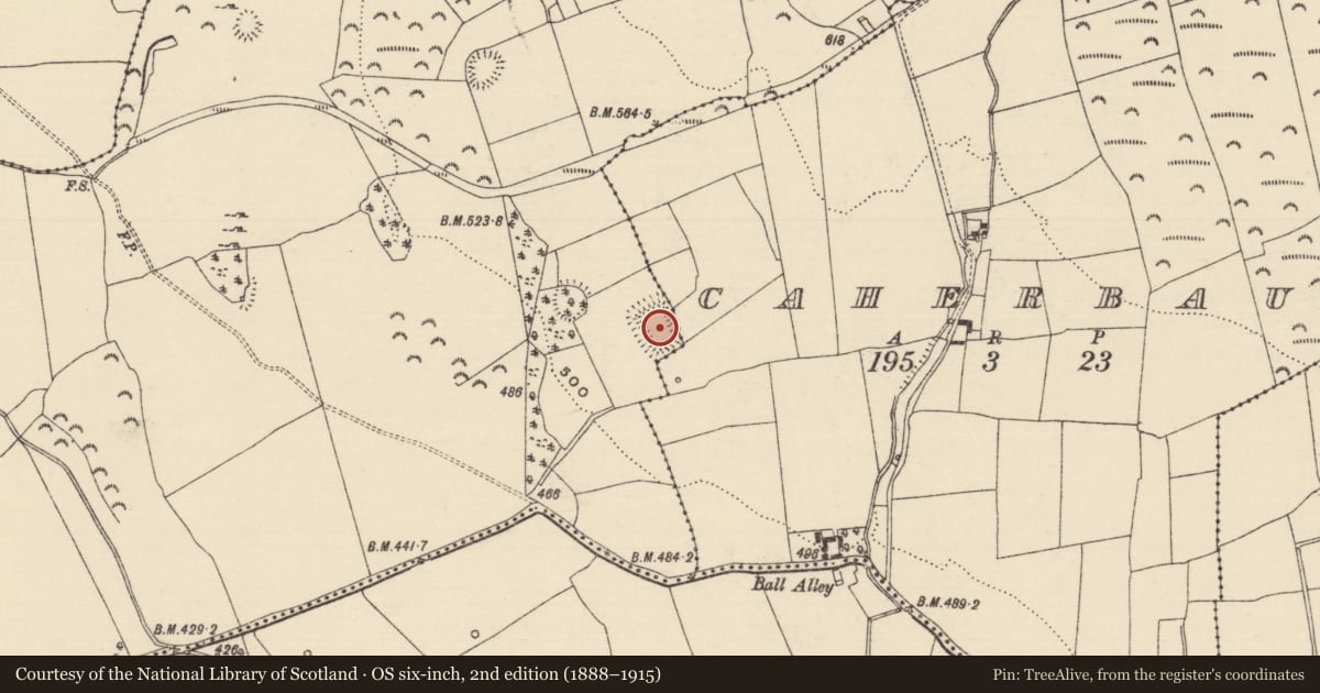 Ordnance Survey six-inch map, 2nd edition (1888–1915) covering the location of Moated site, Caherbaun, Ballyherberry, County Tipperary South, with a pin at the register's coordinates